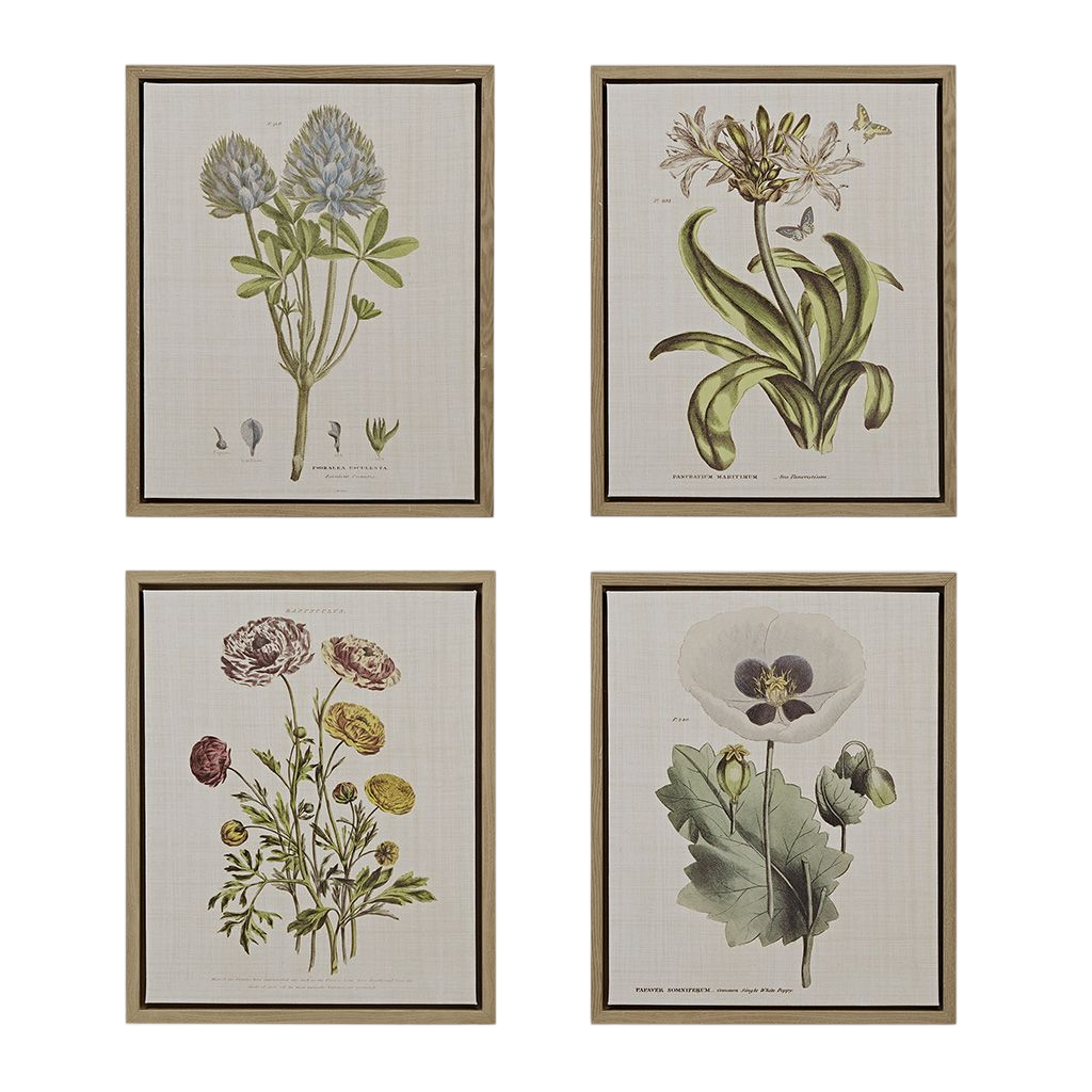 Martha Stewart Herbal Botany Green 4-Piece Botanical Illustration