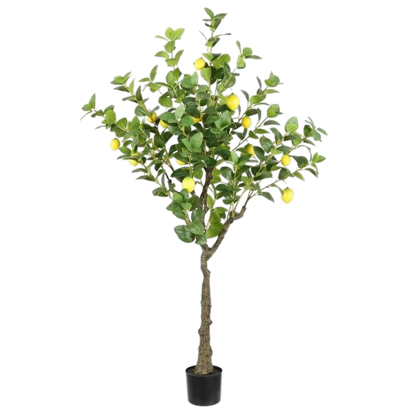 Faux Potted Lemon Tree at allmine.com