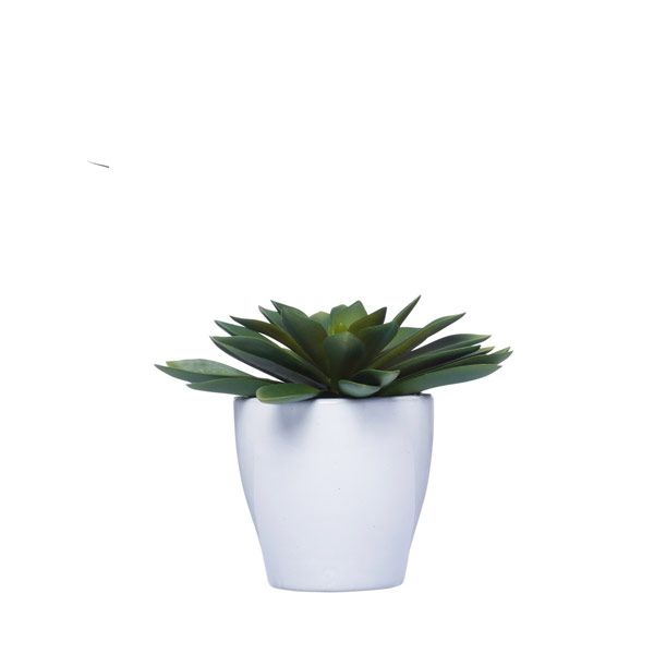 6 inch White & Nature Reed Round Cement Planter - Plant Pot for Sale by Succulents Box