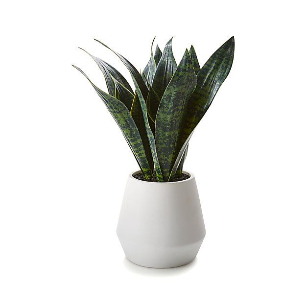  Artificial Snake Plant