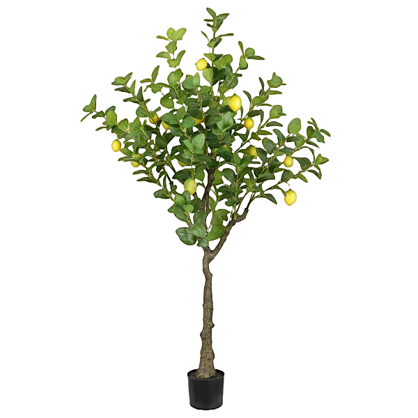 co2 for fish tank plants Micro CO2 Kit - Nano Planted Tank CO2 System main image 1
