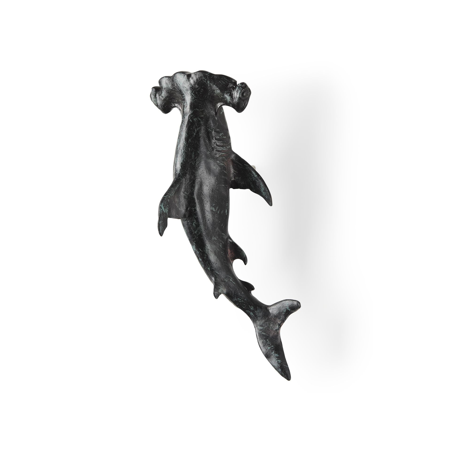 Acus Hammerhead Shark Wall Decor at allmine.com