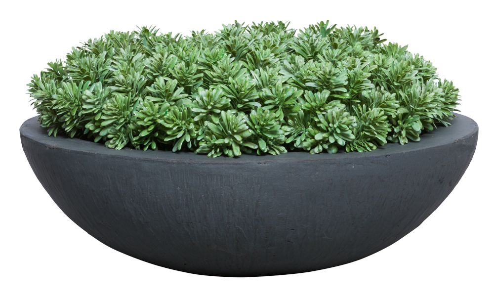 self watering moss poles Adjustable SlowDrip Cap